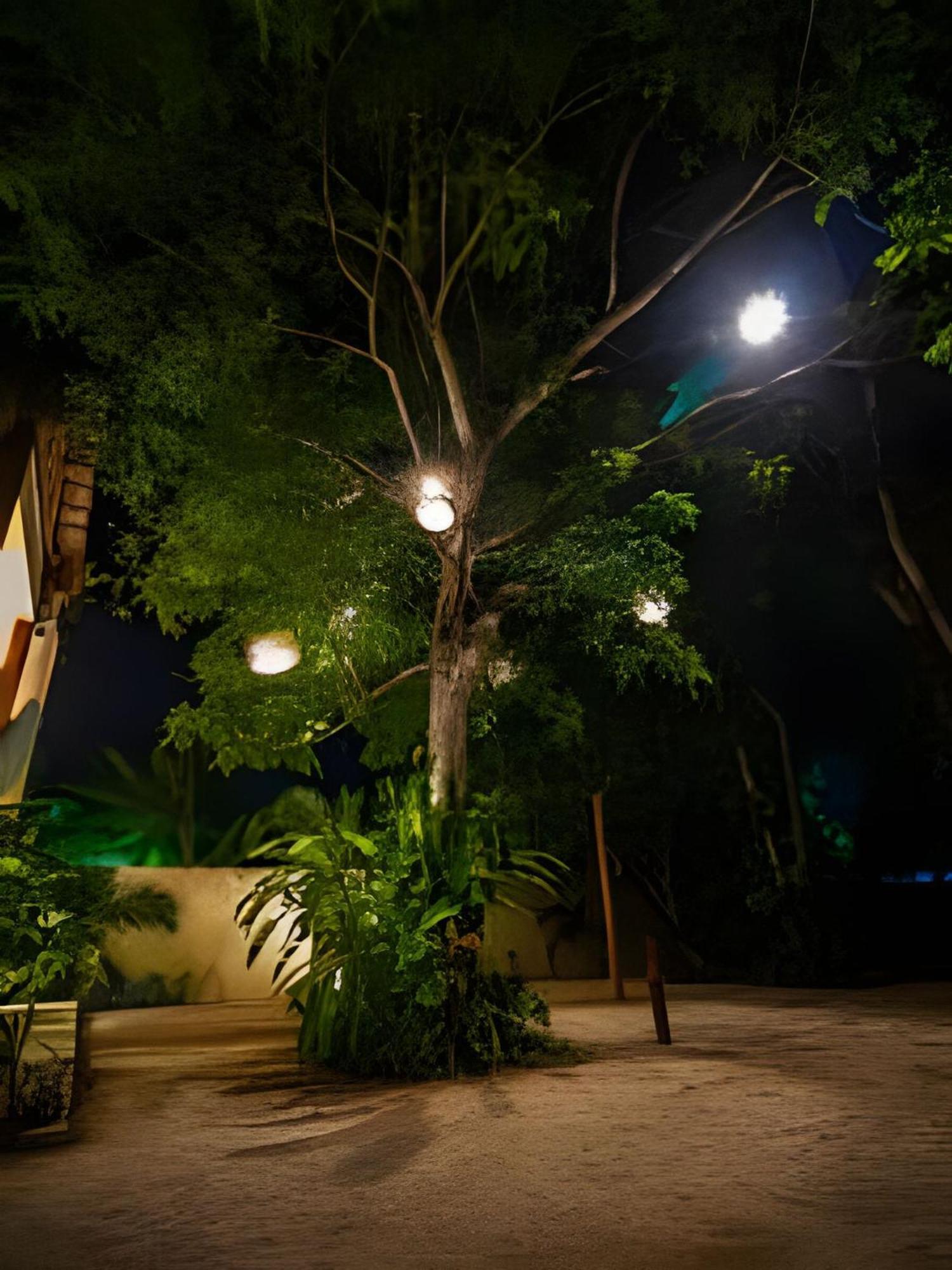 Casa De Piedra - Departamentos Bacalar- Apartment Екстериор снимка